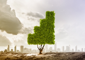 environmental consulting firms